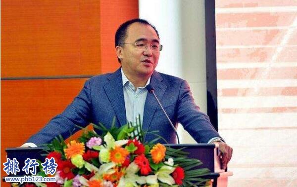 湖北富豪排行榜2018:阎志588亿元当选湖北首富(附完整榜单)