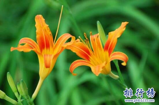 2017年初伏日期,初伏多少天(附入伏时间算法)
