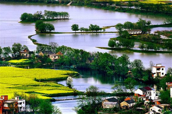 广东十大乡村：鱼咀村上榜，第十是革命先辈故乡