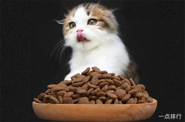猫最爱吃的食物排行  小鱼干只能排第二