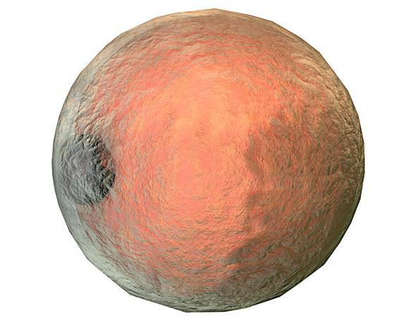 人体最大的细胞  卵细胞直径：10-20微米
