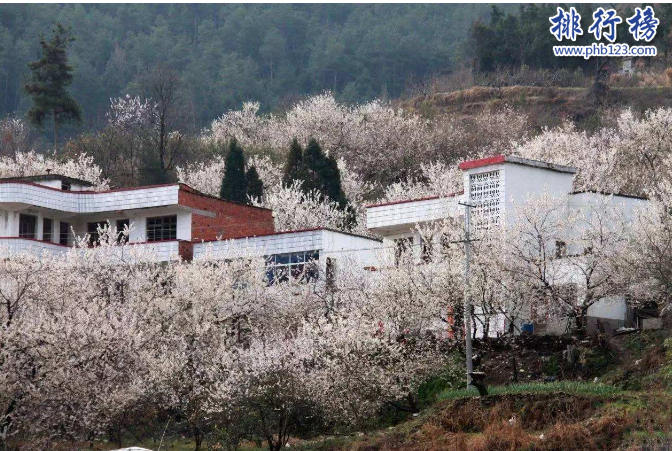 湖北十大名村,第十名樱桃吃不停,第五名是土豪村