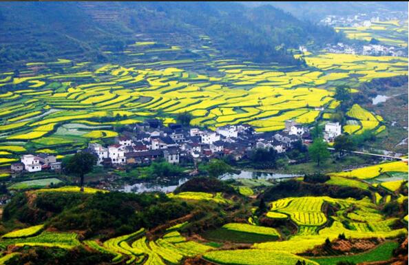 2017国内最受欢迎赏花地排名：樱花圣地武大竟未上榜