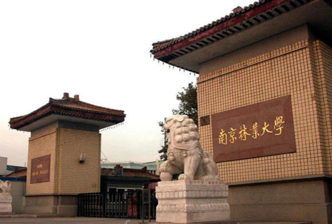 2018年南京林业大学世界排名、中国排名、专业排名