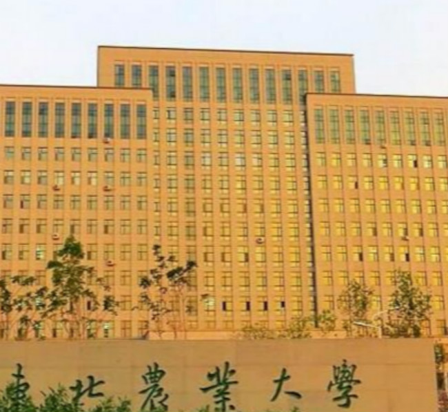 2018年东北林业大学世界排名、中国排名、专业排名