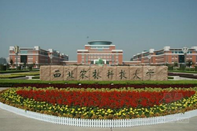 2018年西北农林科技大学世界排名、中国排名、专业排名