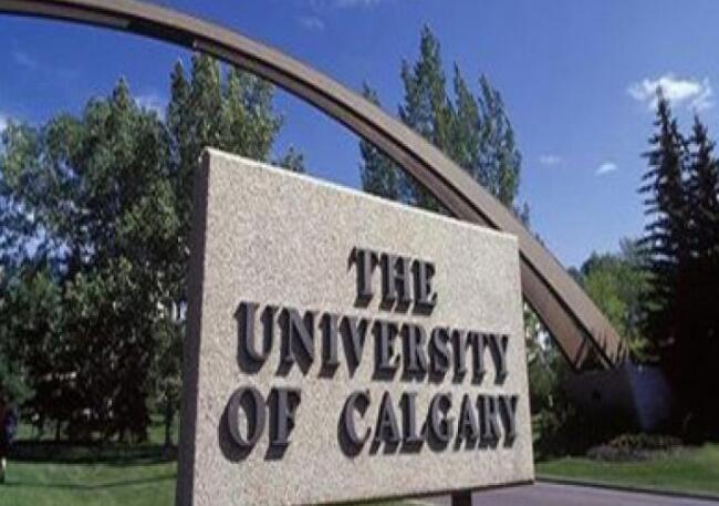 2018年加拿大卡尔加里大学世界排名 留学费用