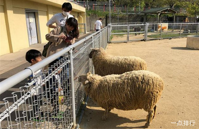大阪十大旅游景点排行榜 日本大阪旅游必去的地方