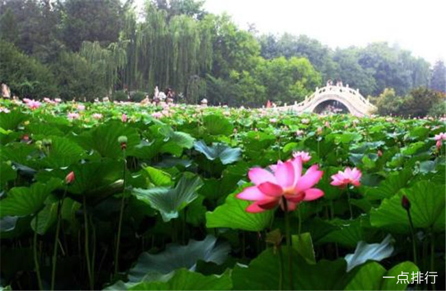 保定十大旅游景点大全 保定好玩的景点有哪些