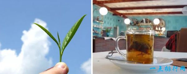 世界十大茶叶出口国 斯里兰卡位居第一中国仅排第二