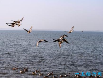 中国五大淡水湖​排名 中国五大淡水湖是哪五个