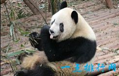 新加坡旅游不可错过的十大景点 2017自助游攻略大全