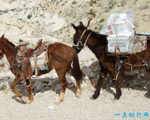 世界十大奇特的邮局排行 去瓦努阿图水下寄信