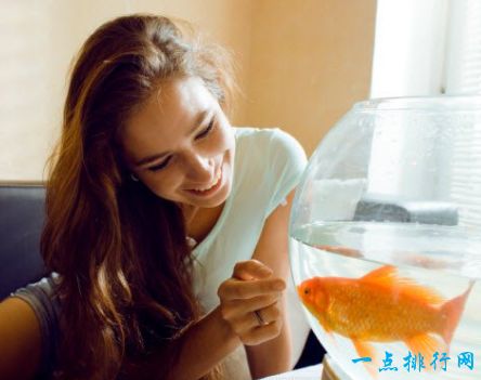 全球10个奇特搞笑酒店排行 日本全机器人酒店排第一