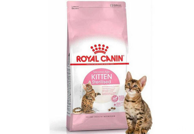 天然猫粮排行榜 天然粮猫粮什么牌子好