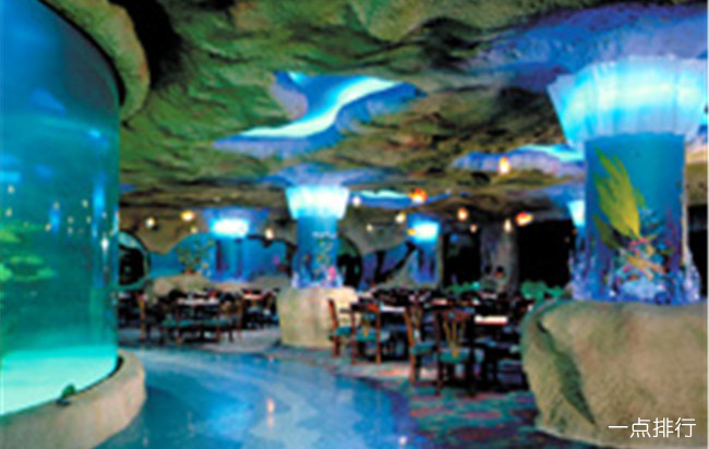 全球十大水下餐厅 在德班货舱餐厅你可以在鲨鱼嘴边用餐