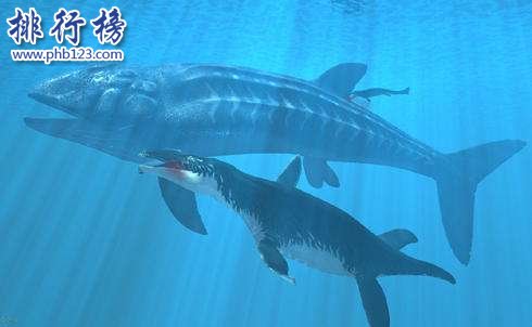 最大的硬骨鱼类：利兹鱼身长35米，体重如同三头非洲象