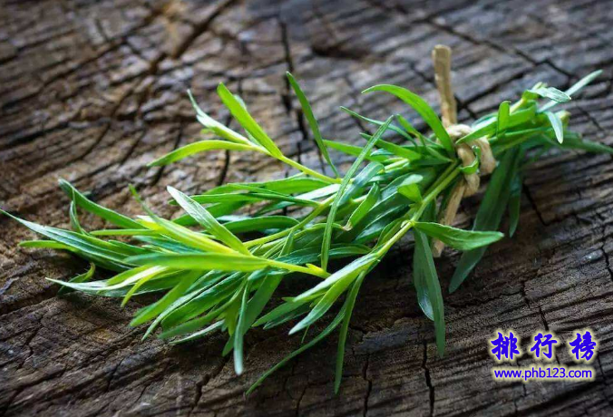 世界十大最香的植物排行榜 龙蒿叶与艾叶属同一物种