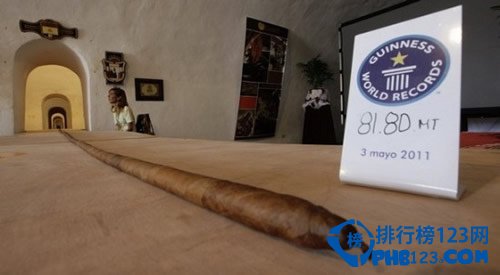 世界上最长的雪茄：81.80米
