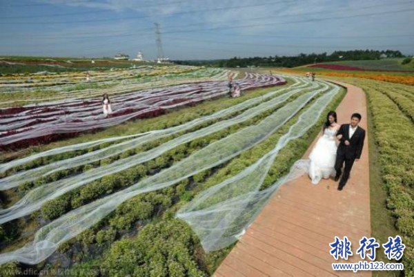 世界上最长的婚纱,中国婚纱长达4100米（40人捧裙摆）