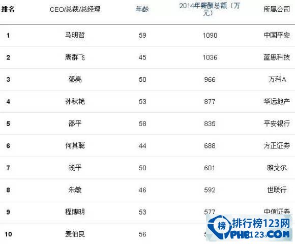 中国年薪最高的人