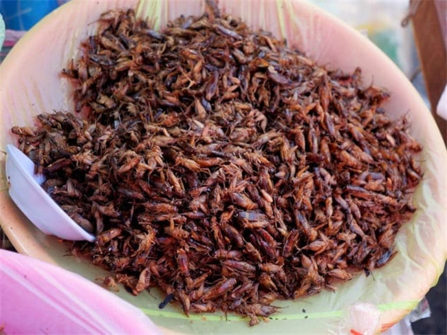 全球十大昆虫美食 中国活蝎子上榜