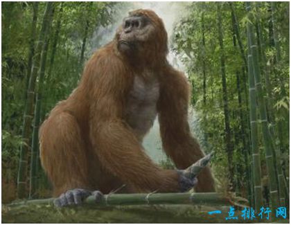 史上最大的猿，步氏巨猿站立身高超过3米