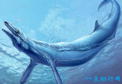 史前十大怪物 上龙体长20米以上