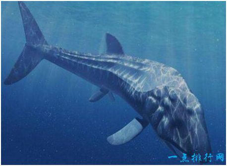 历史上最大的鱼，利兹鱼体长可达27米，超过鲸鲨