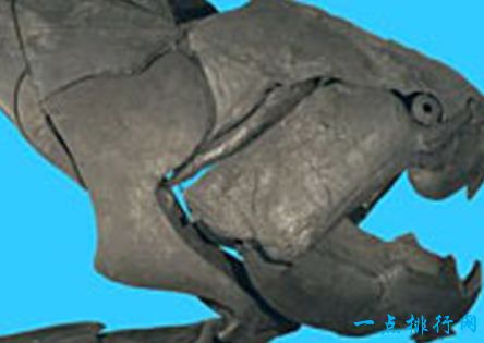 地球上的远古十大怪兽  蛇颈龙可能是尼斯湖水怪的祖先