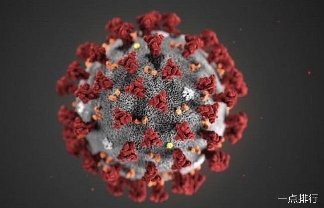 病毒可能长期存在 未来可能像流感一样与人类共存