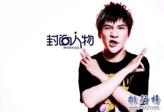 2017上半年综艺节目主持人排行榜,大张伟最受网友关注