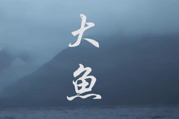 2020十大流行歌曲排行榜：年轮说上榜，第四最受喜爱