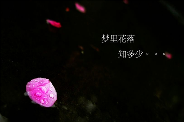 郭敬明五部经典小说 第一很特别第三还被拍成电影