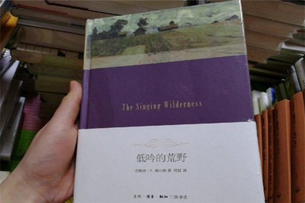十大冷门文学作品 高质量冷门书籍有哪些