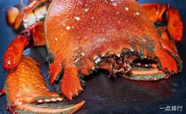 全球十大顶级海鲜排名 澳洲帝王蟹体重可达75斤