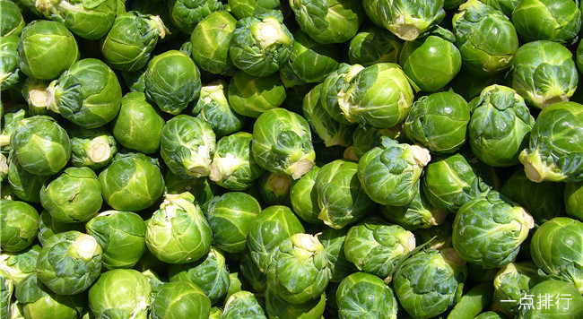 十大健康蔬菜排行 世界十大健康蔬菜