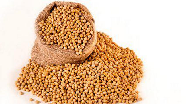 世界大豆产量排名 中国大豆的产量居然不是第一