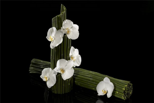 十大最贵的玫瑰花品牌：roseonly上榜，第二是法国著名品牌