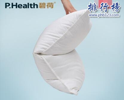 哪些牌子的枕芯比较好？枕芯十大品牌排行榜推荐