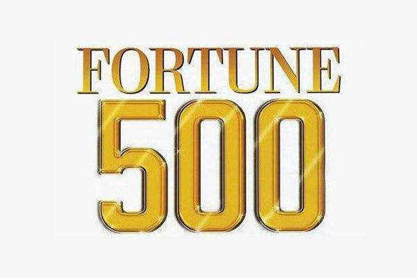2013年世界500强企业排名 财富世界500强完整榜单
