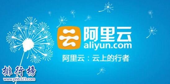 2017年储存服务企业排行榜,阿里云登顶,天翼云紧随其后