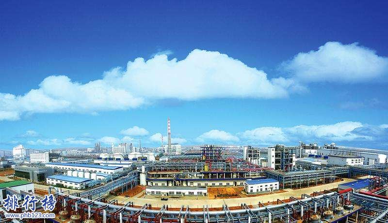 2017年西安十强企业名单,2017年西安10强企业排名