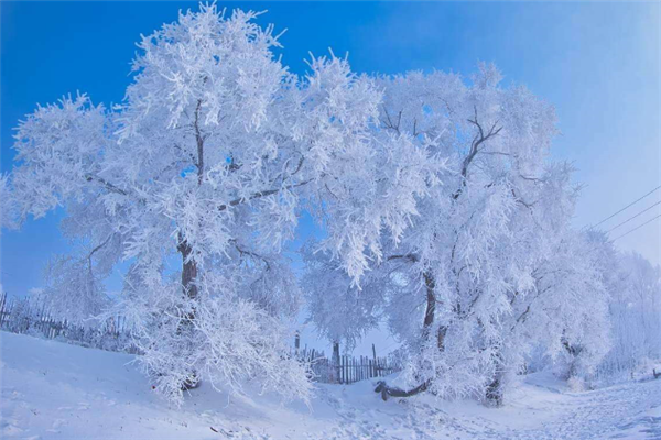 吉林有哪些景区？十大风景名胜排行榜：红叶谷、吉林雪乡上榜