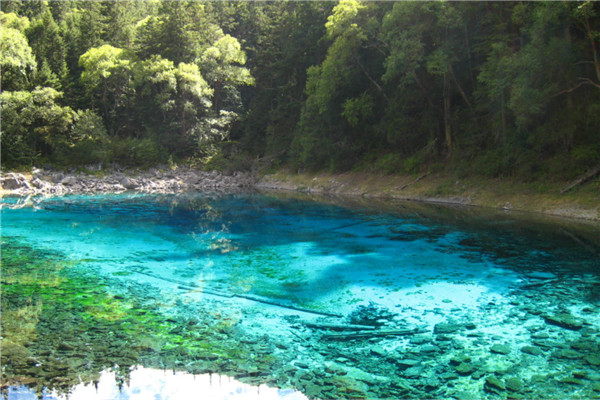 四川网红景点排名 熊猫基地独有 五彩池与大自然亲近