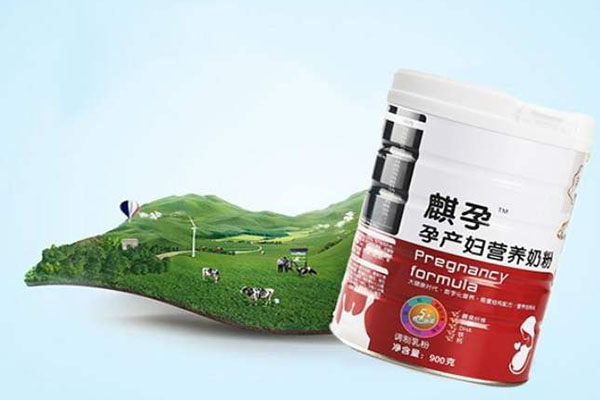 孕妇奶粉哪个牌子好  孕妇奶粉排行榜排名前十