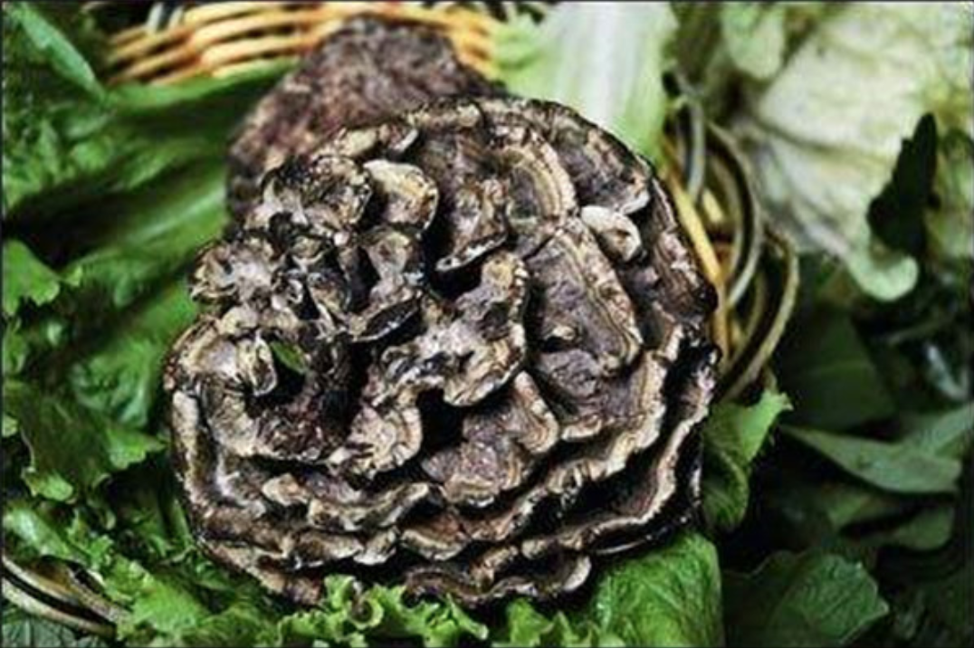云南最贵野生菌排行榜：干巴菌、羊肚菌、松茸排名前三