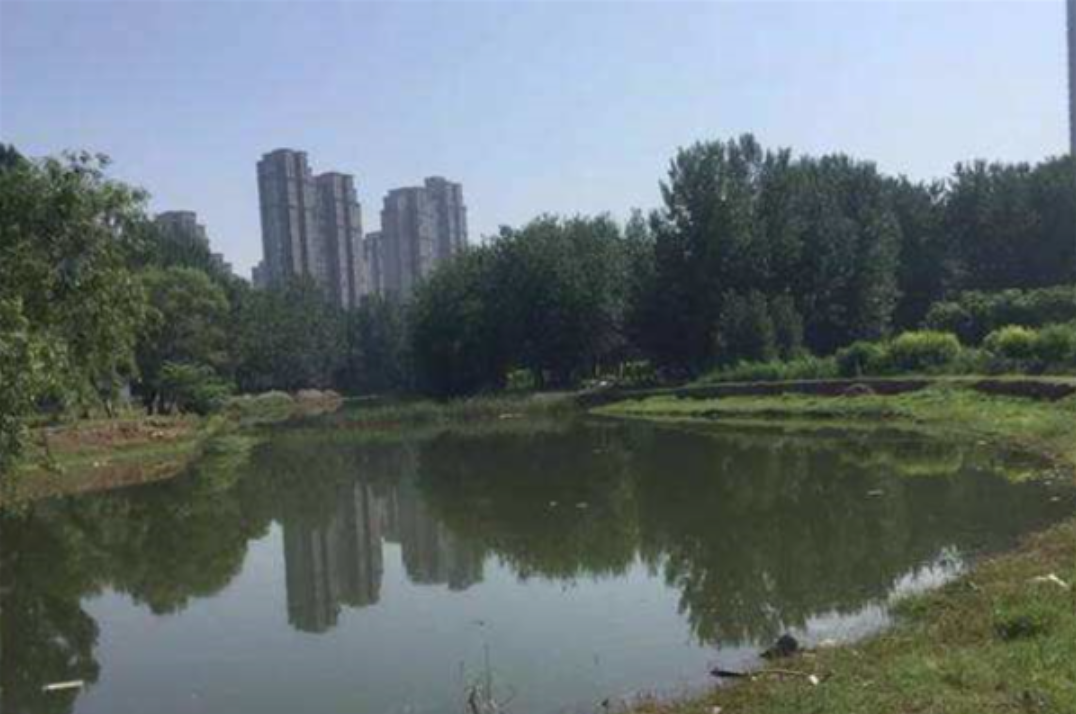 焦作十大公园广场排行榜：沁泉湖公园排名第一