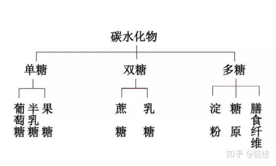 碳水化合物食物有哪些-碳水化合物食物排行榜