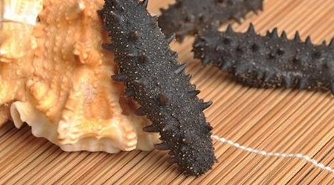蛋白质含量高的食物有哪些-蛋白质含量高的食物排行榜2020